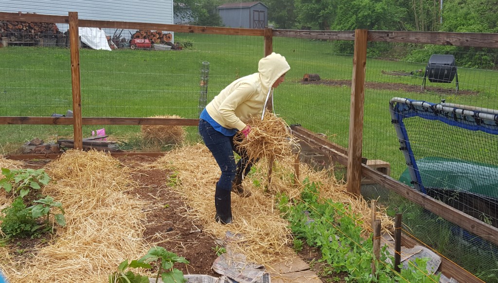 Weed Control + Recycled Goods: A Garden&nbsp;Entry