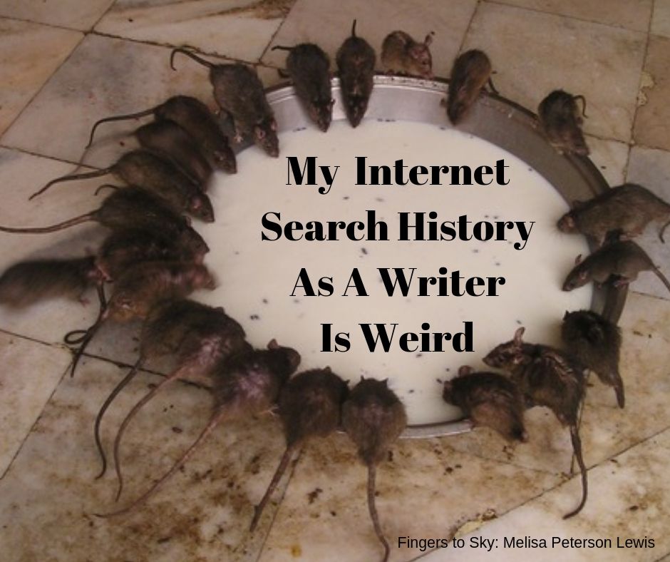 My Google Search&nbsp;History