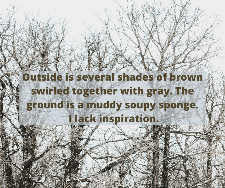 Searching for Inspiration