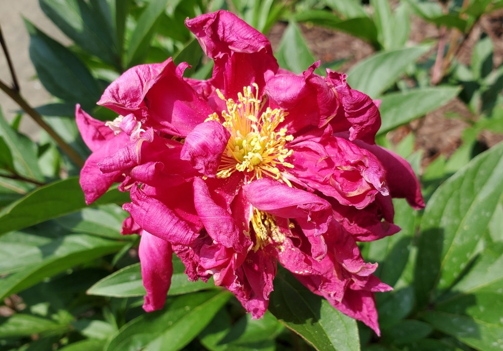 It’s been too&nbsp;long!