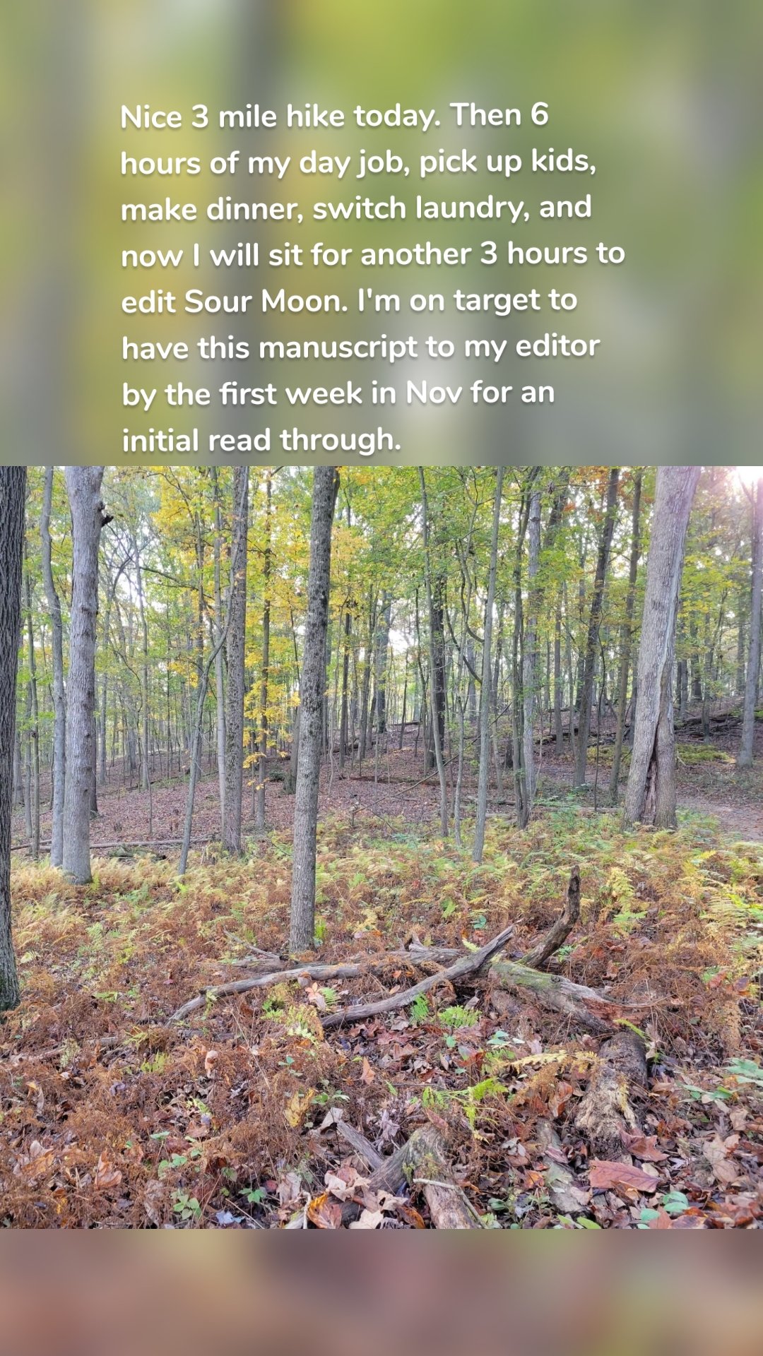 Nice 3 mile hike today. Then 6 hours of my day job, pick up kids, make dinner, switch laundry, and now I will sit for another 3 hours to edit Sour Moon. I'm on target to have this manuscript to my editor by the first week in Nov for an initial read through. 


